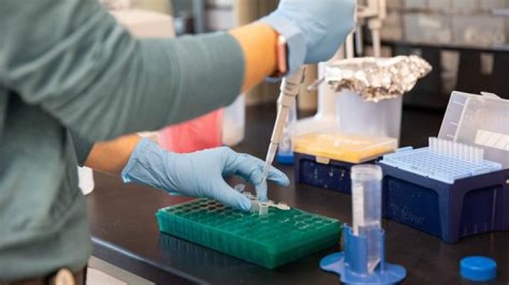 Groundbreaking Research And Scientific Impact
