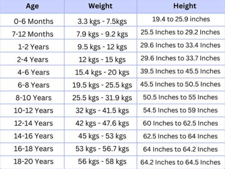 Unveiling Bad Bunny's Height And Weight: A Journey Of Discovery